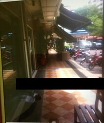 Tiong Bahru Orchid (D3), Shop House #273298061